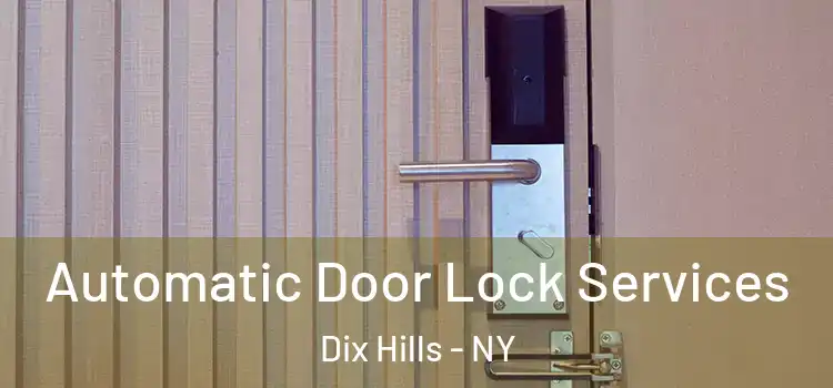 Automatic Door Lock Services Dix Hills - NY