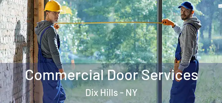Commercial Door Services Dix Hills - NY