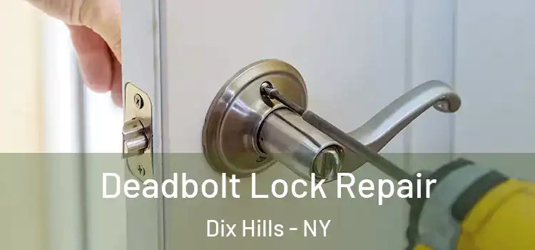 Deadbolt Lock Repair Dix Hills - NY