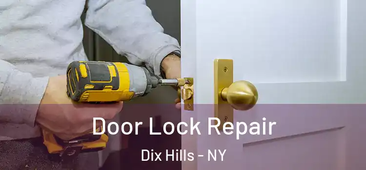 Door Lock Repair Dix Hills - NY
