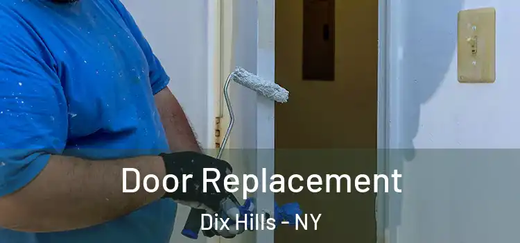 Door Replacement Dix Hills - NY