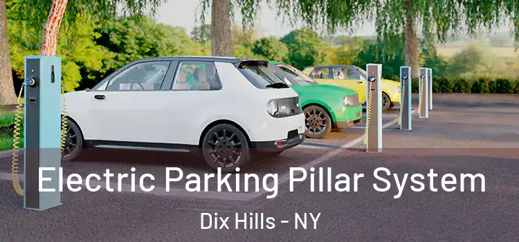 Electric Parking Pillar System Dix Hills - NY