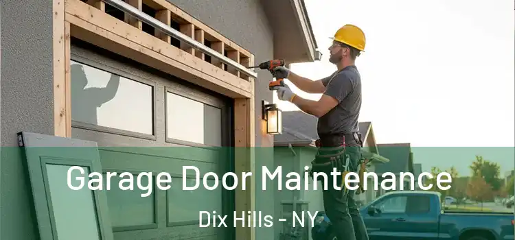 Garage Door Maintenance Dix Hills - NY