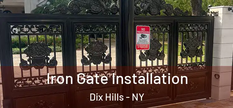 Iron Gate Installation Dix Hills - NY