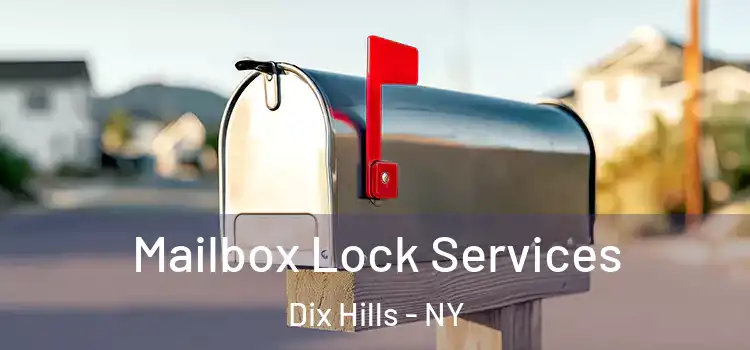 Mailbox Lock Services Dix Hills - NY