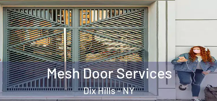 Mesh Door Services Dix Hills - NY