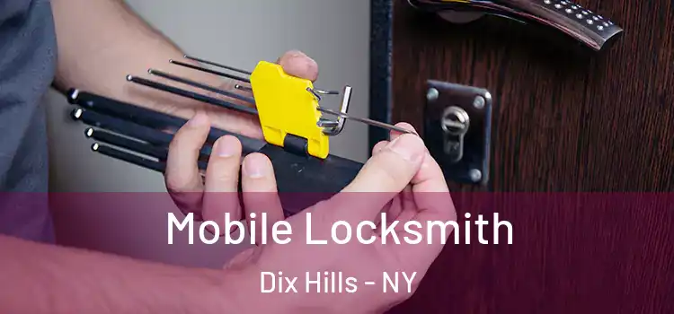 Mobile Locksmith Dix Hills - NY
