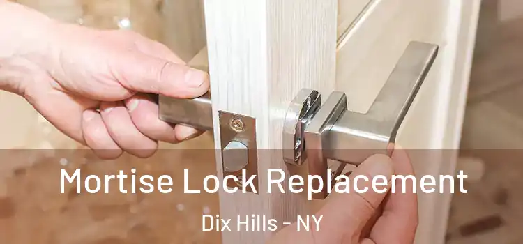 Mortise Lock Replacement Dix Hills - NY