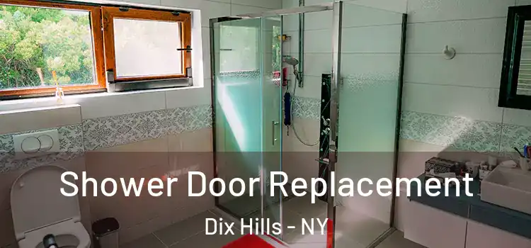 Shower Door Replacement Dix Hills - NY